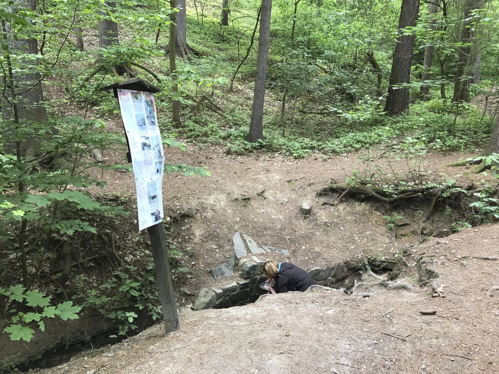 Studánky v Kunratickém lese.