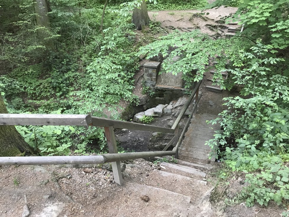 Studánky v Kunratickém lese.