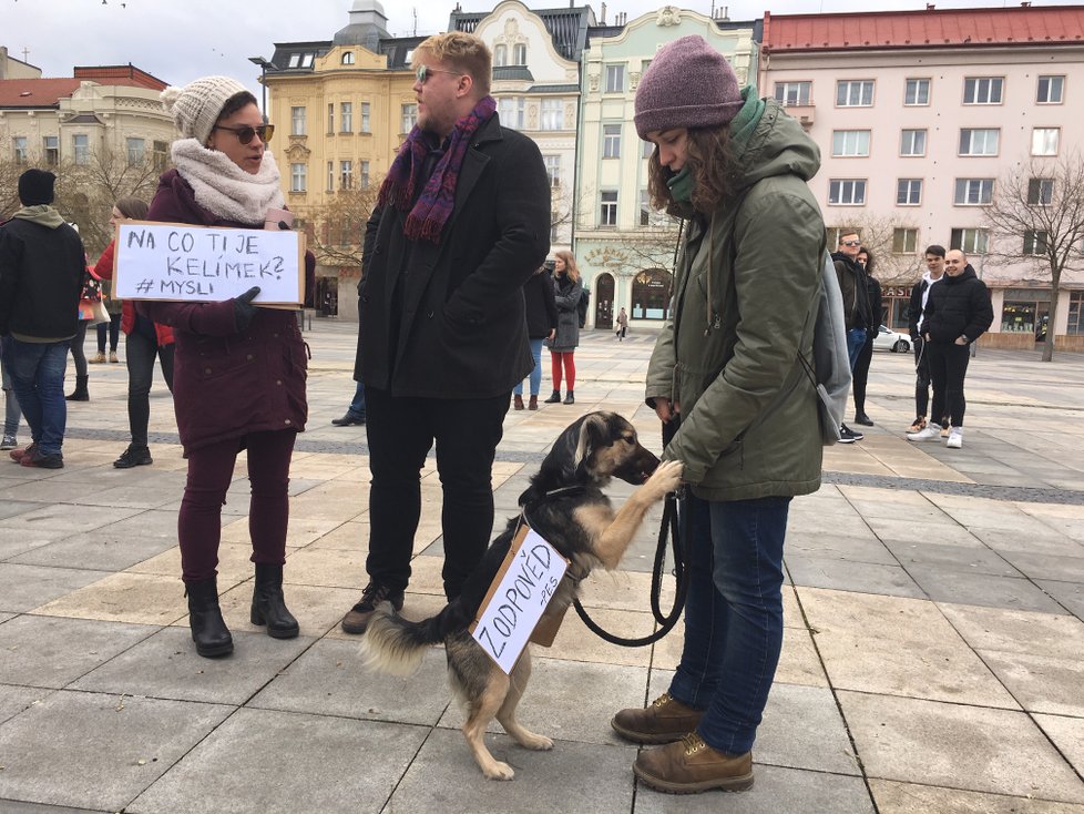V centru Ostravy se sešla zhruba tisícovka studentů a dalších protestujících proti nečinnosti politiků, kteří neřeší klimatické změny.