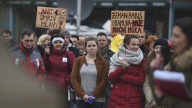 Studenti po celé České republice protestovali za ústavní hodnoty