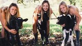 Odvážní veterináři: Nazí studenti veteriny nafotili netradiční kalendář se zvířátky!