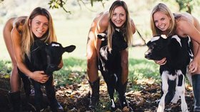 Australští studenti veteriny nafotili nahatý kalendář se zvířátky.