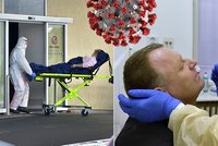 Opakovaný covid? Vědci řekli, jak dlouho je člověk po prodělané nákaze imunní