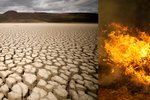 Klimatologové varují: Příští generace na tom budou hůř, více požárů, veder i sucha