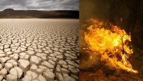 Klimatologové varují: Příští generace na tom budou hůř, více požárů, veder i sucha