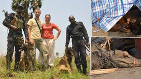 Češi si pletou zvíře s dítětem, říká kynoložka. Sama trénuje psy na lov pašeráků v Kongu
