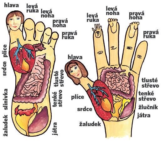 Reflexologie se týká nohou i rukou