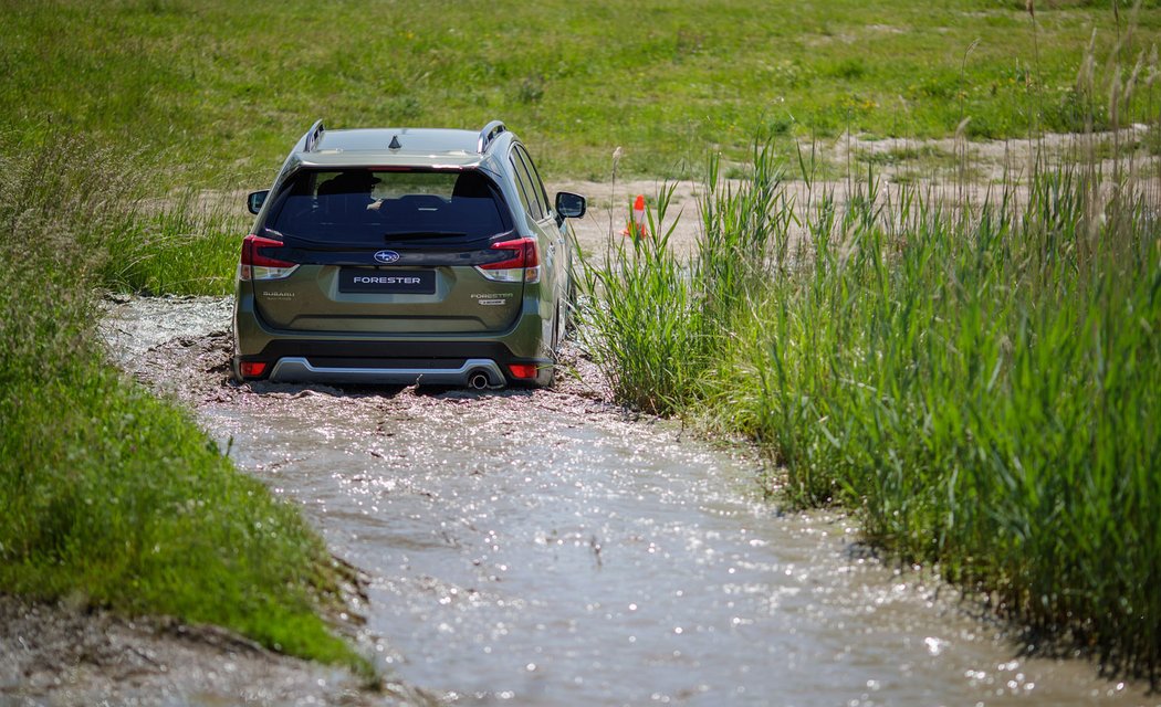 Subaru Forester e-Boxer