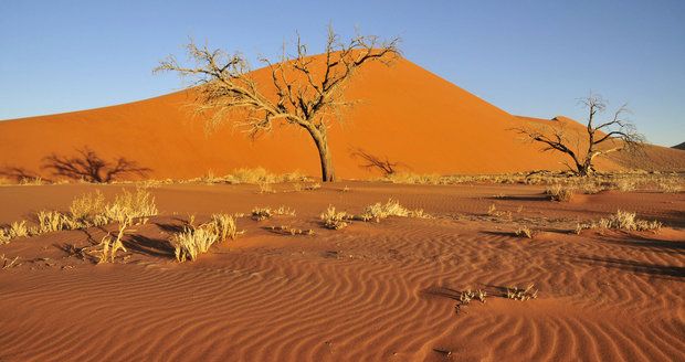 Milionům Afričanů hrozí hladomor kvůli suchu. Zimbabwe vyhlásilo stav pohromy