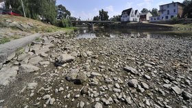 Vyschlé koryto řeky Sázavy. Průtok českých řek bylo loni deset až 50 procent.