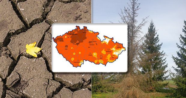 Vyprahlé Česko trápí největší sucho za 500 let, odhalili experti. Kde je nejhůř?