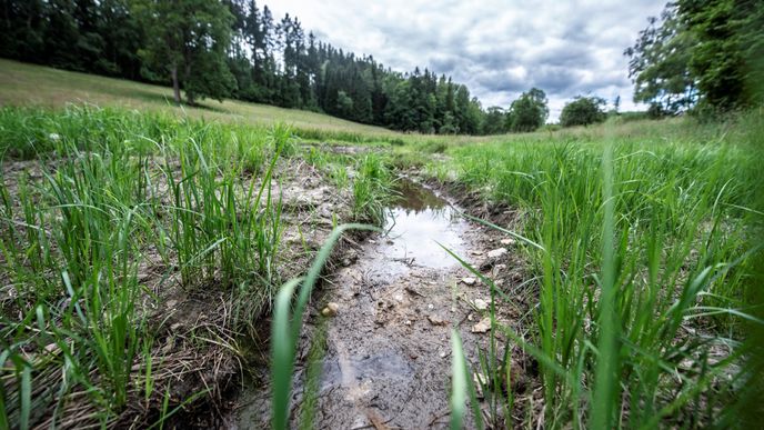 Podle odborníků je zdejší sucho, které trvá od roku 2015, nejhorší za 500 let, a ani letošní deštivější léto nebude mít na příbytek spodních vod příliš velký vliv.