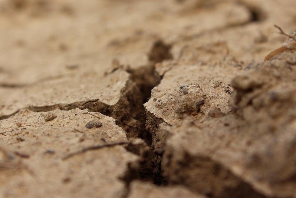Zejména v Jihomoravském kraji se lidé musejí potýkat se suchem.