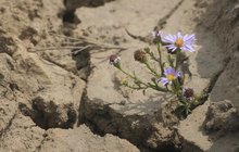 Počasí v Česku? Vedro jako v Turecku! Meteorologové: Rekord pokořen!