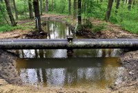 Záchrana pro vyschlý les: Do Hodonínské Dúbravy pumpují tisíce litrů vody z řeky Moravy