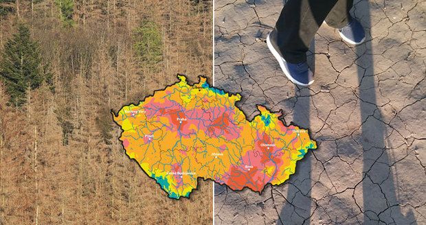 Nepršelo už dlouhých 40 dní a ani nebude! Způsobí sucho v Česku (s)poušť?