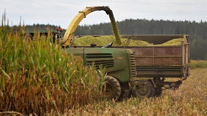 Sucho poznamenalo i letošní sklizeň kukuřice
