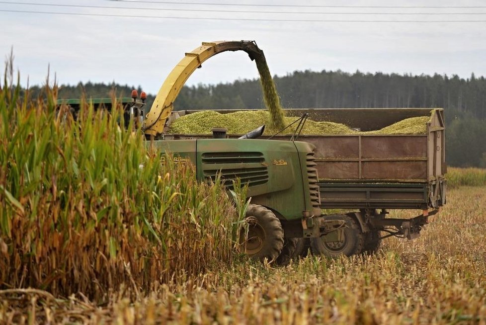 O případné pomoci suchem postiženým farmářům ze strany vlády v Berlíně chce ministryně zemědělství Julia Klöcknerová rozhodnout teprve koncem srpna po sklizni.