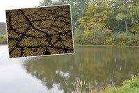 Jižní Morava chce zatočit se suchem: Na podporu rybníků věnuje šest milionů korun!