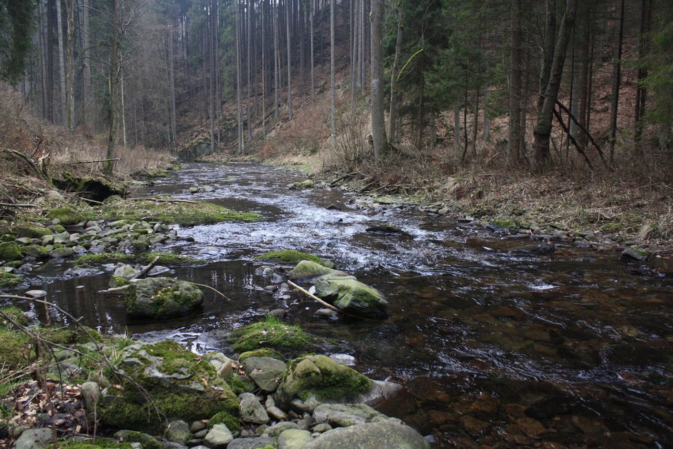 Česko čekají vedra a sucho jako loni v létě. Naznačuje to teplá zima.