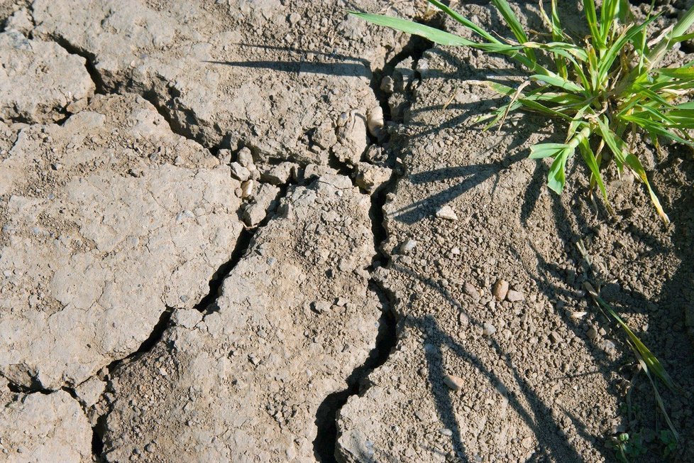 Jeden z největších klimatických problémů současnosti je sucho.