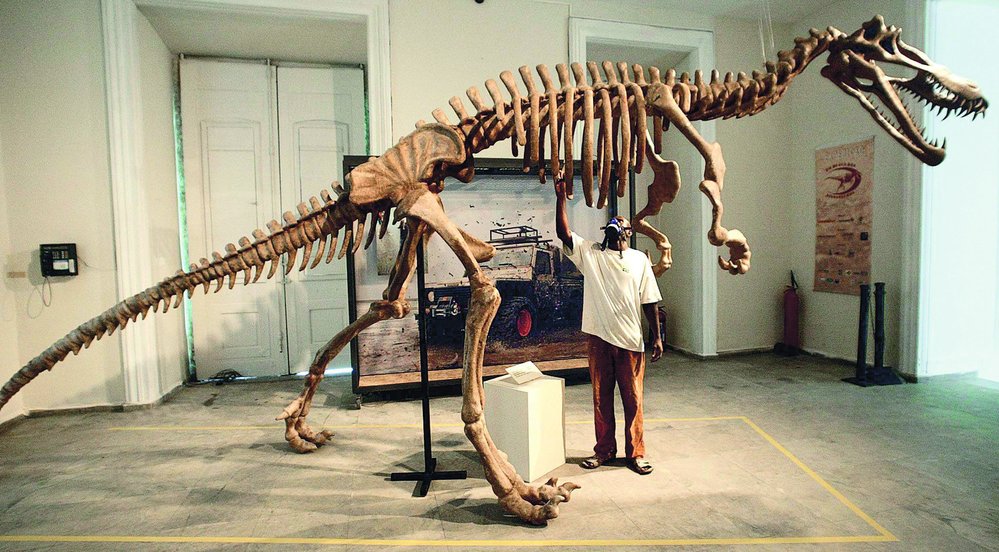 Suchomimové dosahovali velikosti známého severoamerického teropoda alosaura, který žil ale již na konci jury a patřil do jiné skupiny teropodů