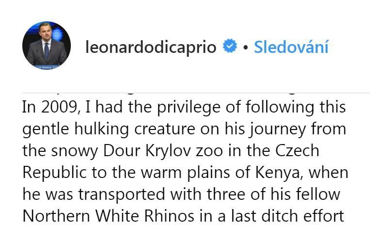„V roce 2009 jsem měl tu čest být svědkem toho, když bylo toto vznešené zvíře převezeno z České republiky do Keni, kde se mělo rozmnožit. Doufám, že to se díky umělému oplodnění ještě povede,“ Leonardo DiCaprio, americký herec