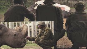 Smrt Sudána, posledního samce nosorožce bílého severního, zasáhla celý svět. "Sbohem, Sudáne. Není třeba, abych ti tu říkal, že jsem tě miloval. To víš dobře ze všech našich debat a společných chvil. Za těch pár let jsi mě kompletně změnil, a jako ty jsi mě každý den učil, snažil jsem se i já učit a inspirovat lidi kolem sebe, aby vnímali a byli ohleduplní k okolnímu světu. Slíbil jsem, že budu tvým hlasem (nejsem si tedy jist, že jsem to řádně a zcela naplnil), ale dal jsem do toho všechno,“ loučil se s nosorožcem ošetřovatel James Mwendy.