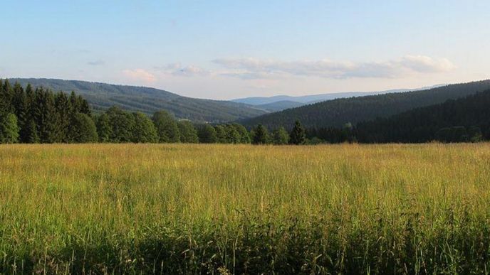 Šumava (ilustrační foto)