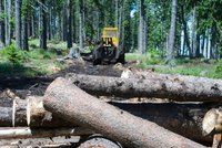 Kůrovec ničí i silnice. Jurečkův úřad chce přispět na jejich opravy