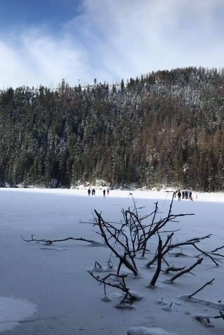 Turisté vzali útokem Šumavu: Kluziště si udělali i z Chalupské slati!