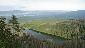 Pohled na Plešné jezero z vyhlídky Adalberta Stiftera.