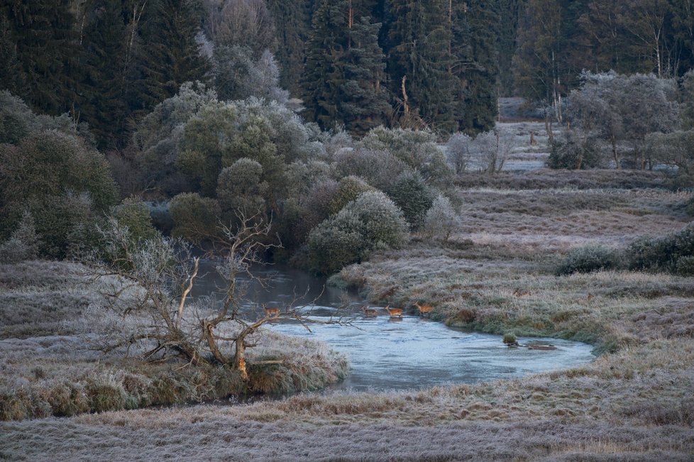 Teplý podzim končí, v příštím týdnu meteorologové přes den čekají kolem devíti stupňů. Po půli listopadu už v noci může mrznout, srážek bude dál málo. (ilustrační foto)