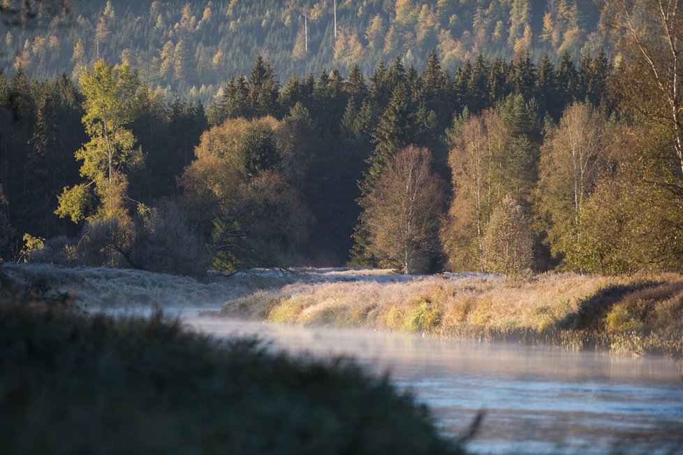 Teplý podzim končí, v příštím týdnu meteorologové přes den čekají kolem devíti stupňů. Po půli listopadu už v noci může mrznout, srážek bude dál málo. (ilustrační foto)