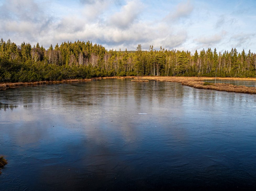 Šumava