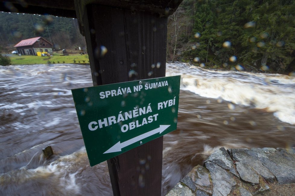 Zvýšené hladiny řek na Šumavě (4.1.2021)