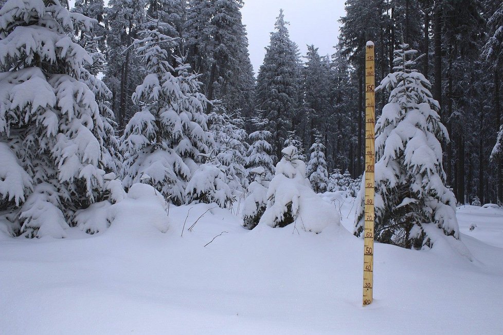 Sněhoměrná lať ukazovala 20 cm sněhové pokrývky.