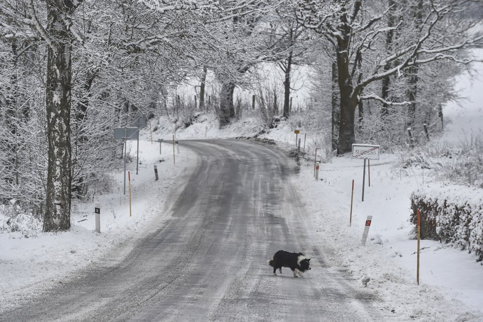 Meteorologové prodloužili výstrahu před silným větrem, na východě území hrozí až do dnešní půlnoci. Mohou se tvořit i sněhové jazyky a náledí.