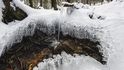 Ledová výzdoba pramene nedaleko Modravy