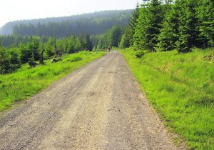 Šumava