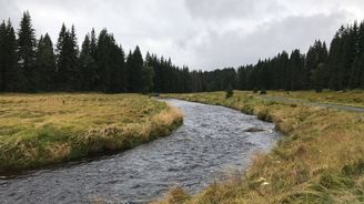 Šumavu poničila silná bouře. Nejvíce trpěla stejná oblast jako před dvěma lety 