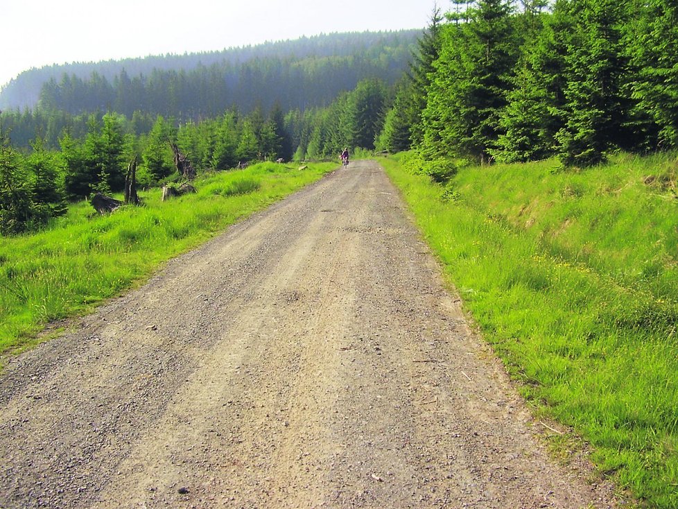 Šumava