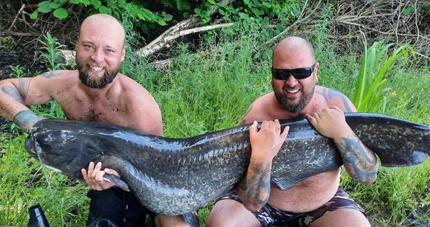 Jakub Finger (31, vlevo), Radim Hanzelka a vylovený sumec velký.