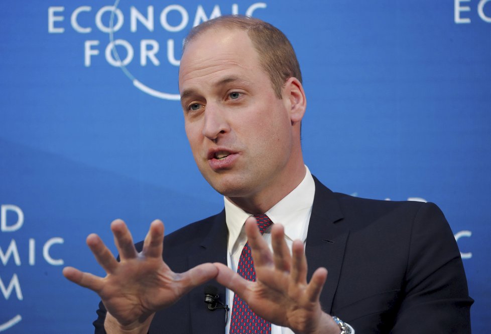 Davos 2019: Princ William