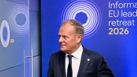 Summit EU na zámku v Belgii: Donald Tusk (12.2.2026)