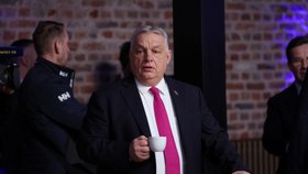 Summit EU na zámku v Belgii: Viktor Orban (12.2.2026)