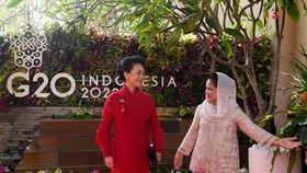 Summit G20 v Indonésii
