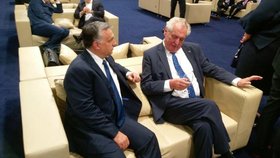 Ze zákulisí summitu NATO: Miloš Zeman s Viktorem Orbánem