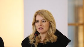 Zuzana Čaputová na summitu prezidentů V4 v Praze (22.11.2023)
