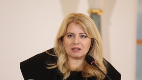 Zuzana Čaputová na summitu prezidentů V4 v Praze (22. 11. 2023)